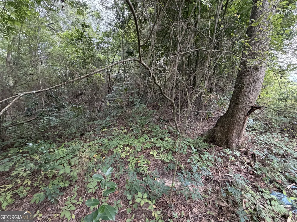 .77 ACRE Leary North RD Ashburn, GA 31714