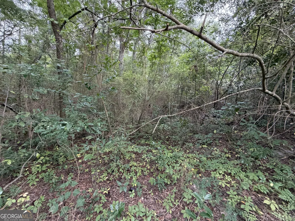 .77 ACRE Leary North RD Ashburn, GA 31714