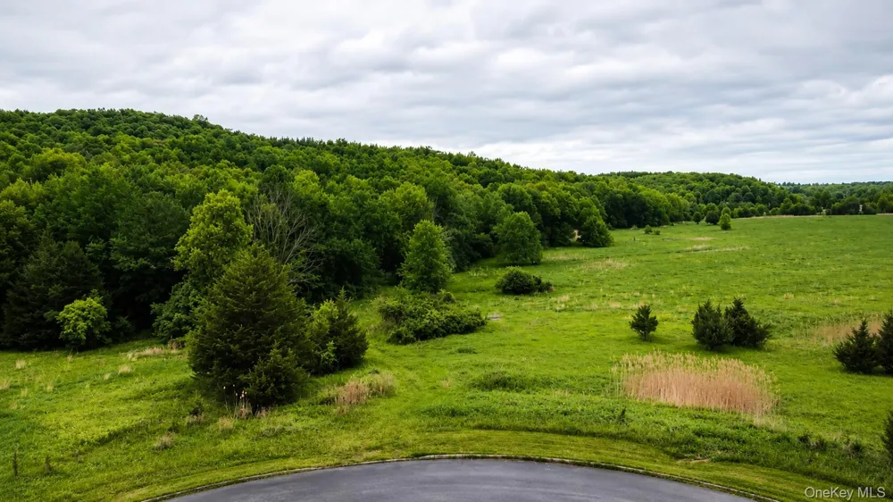 492 Black Meadow Road Chester, NY 10918