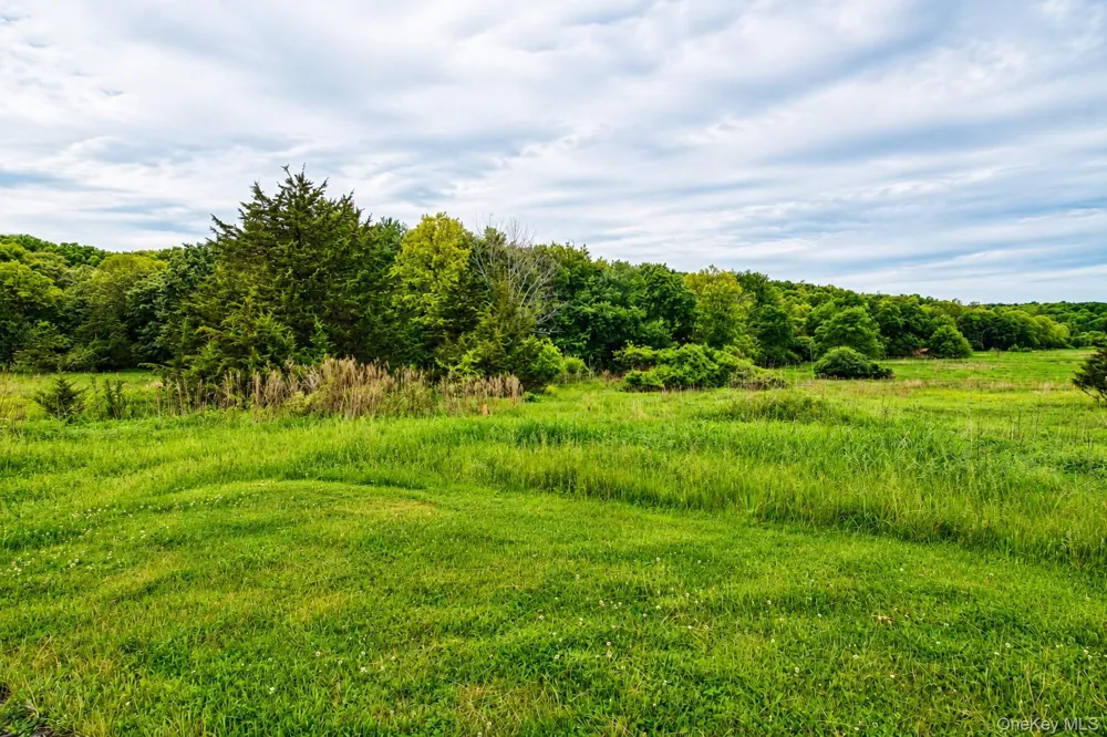 492 Black Meadow Road Chester, NY 10918