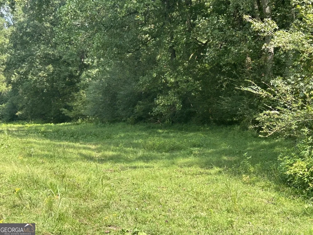 0 Attaway Road-9.22 Bowdon, GA 30108