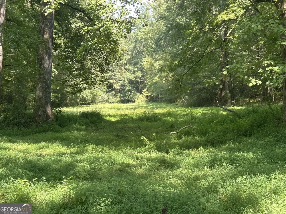 0 Attaway Road-9.22 Bowdon, GA 30108