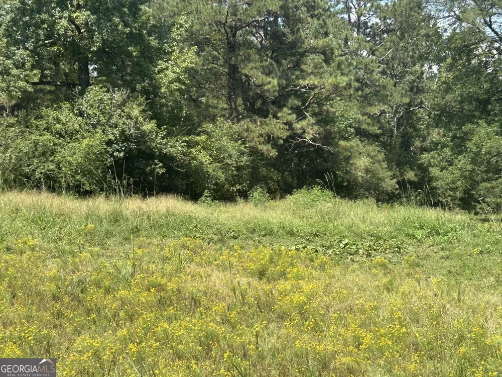 0 Attaway Road-9.22 Bowdon, GA 30108