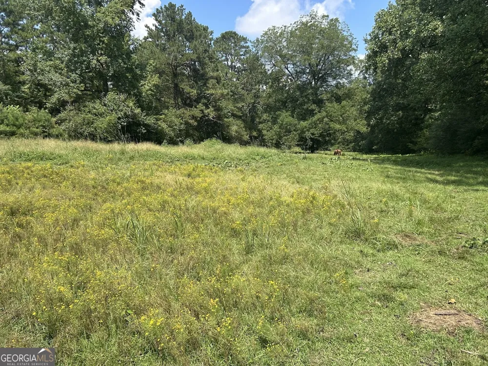 0 Attaway Road-9.22 Bowdon, GA 30108