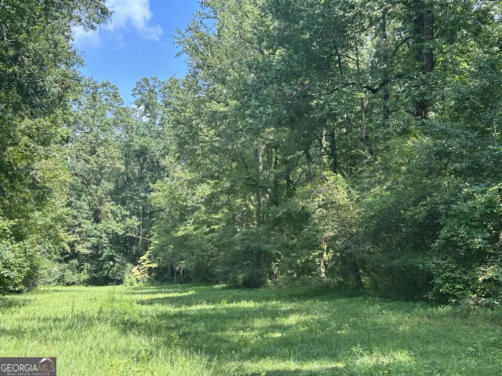0 Attaway Road-9.22 Bowdon, GA 30108
