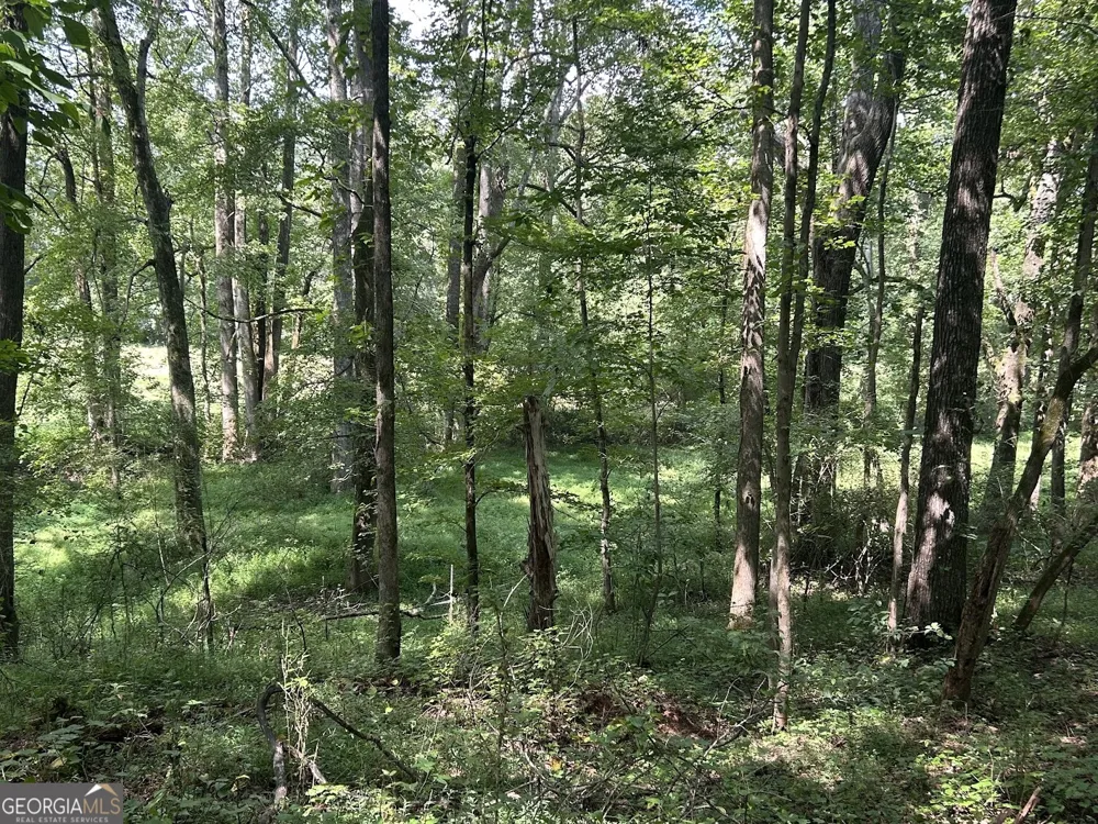 0 Attaway Road-9.22 Bowdon, GA 30108