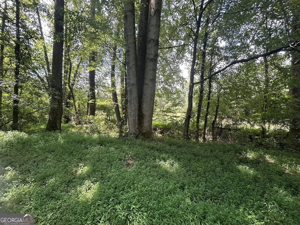 0 Attaway Road-9.22 Bowdon, GA 30108