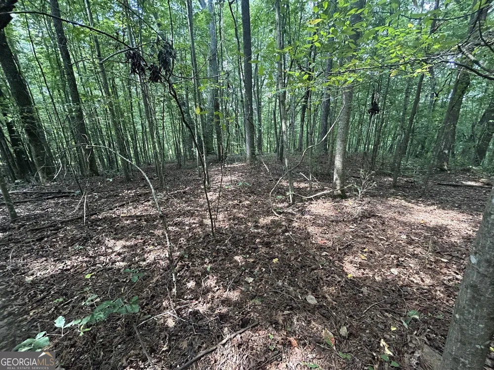 0 Attaway Road-9.22 Bowdon, GA 30108