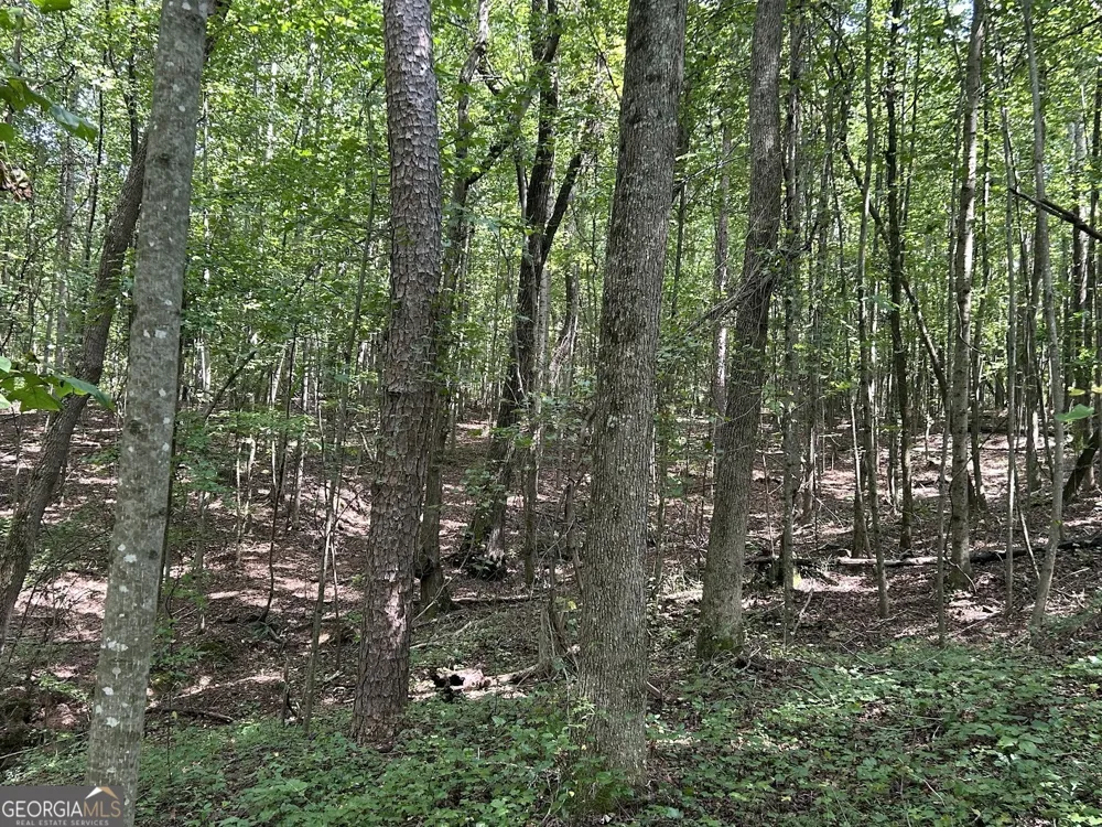 0 Attaway Road-9.22 Bowdon, GA 30108