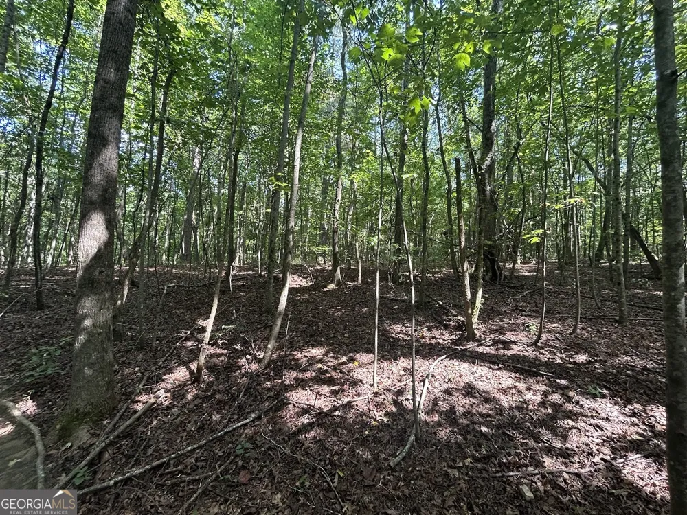 0 Attaway Road-9.22 Bowdon, GA 30108