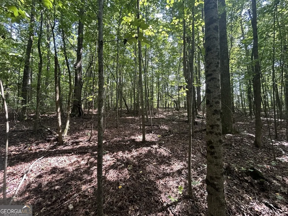 0 Attaway Road-9.22 Bowdon, GA 30108