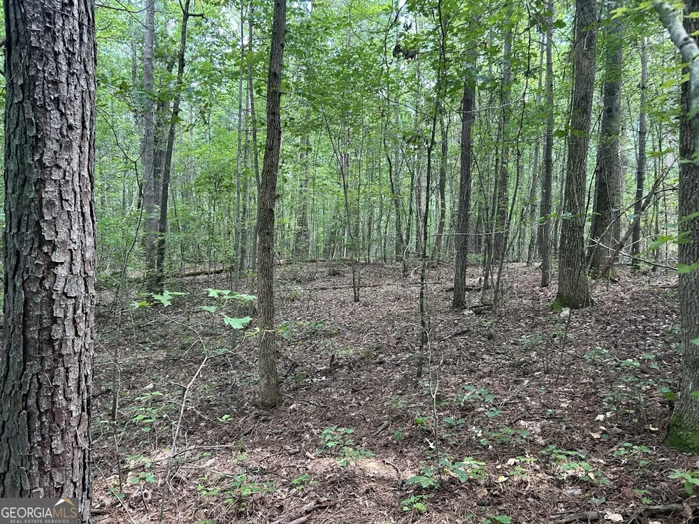 0 Attaway Road-9.22 Bowdon, GA 30108