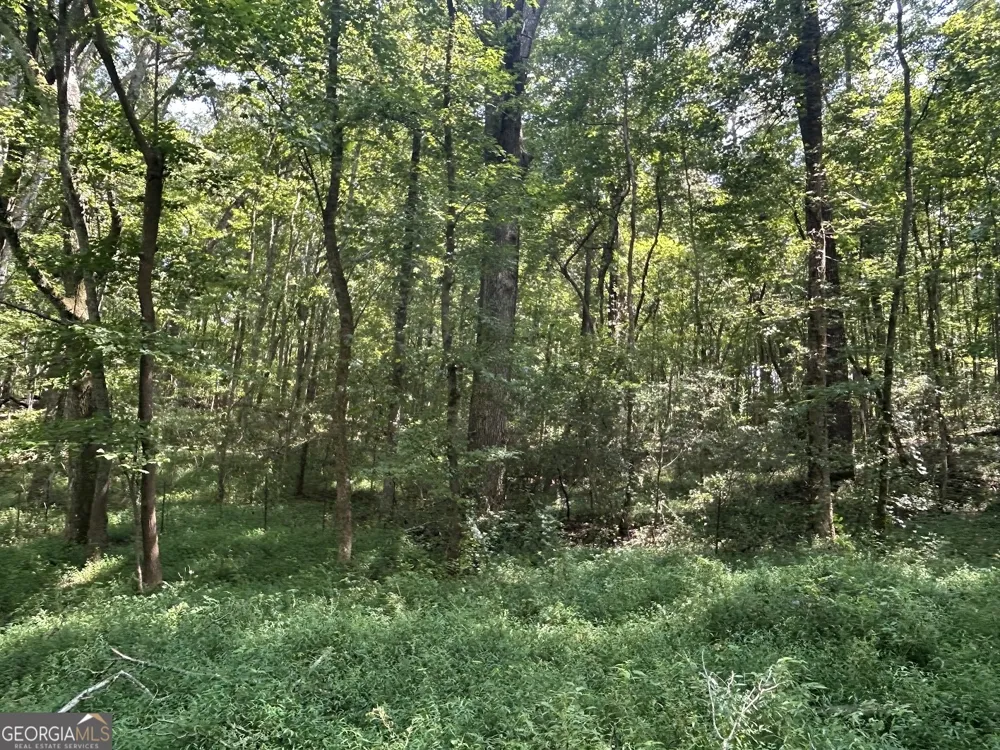 0 Attaway Road-9.22 Bowdon, GA 30108