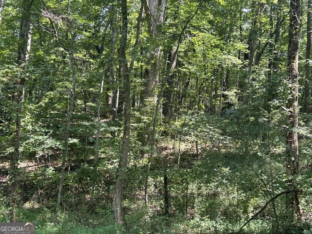 0 Attaway Road-9.22 Bowdon, GA 30108