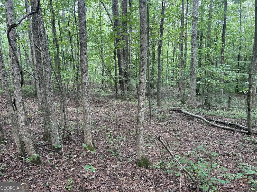 0 Attaway Road-9.22 Bowdon, GA 30108