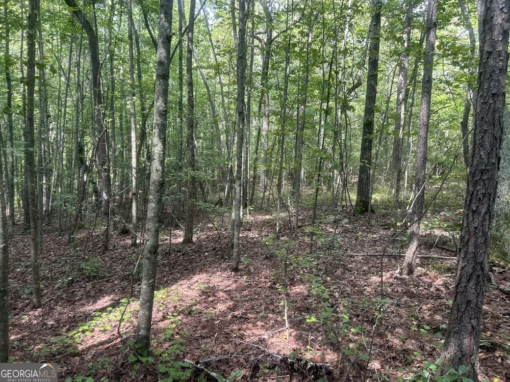 0 Attaway Road-9.22 Bowdon, GA 30108
