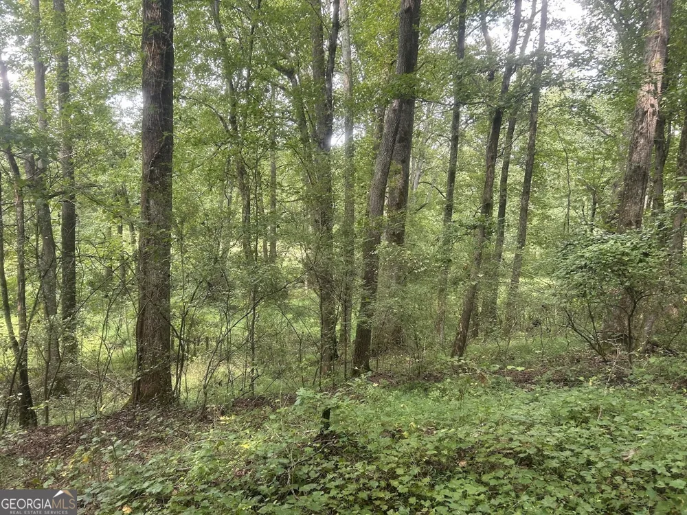 0 Attaway Road-9.22 Bowdon, GA 30108