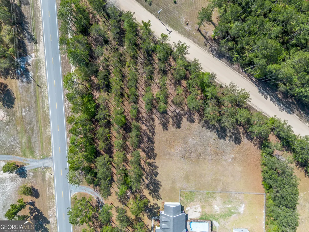0 Highway 110 (2.02 acres) W Hortense, GA 31543