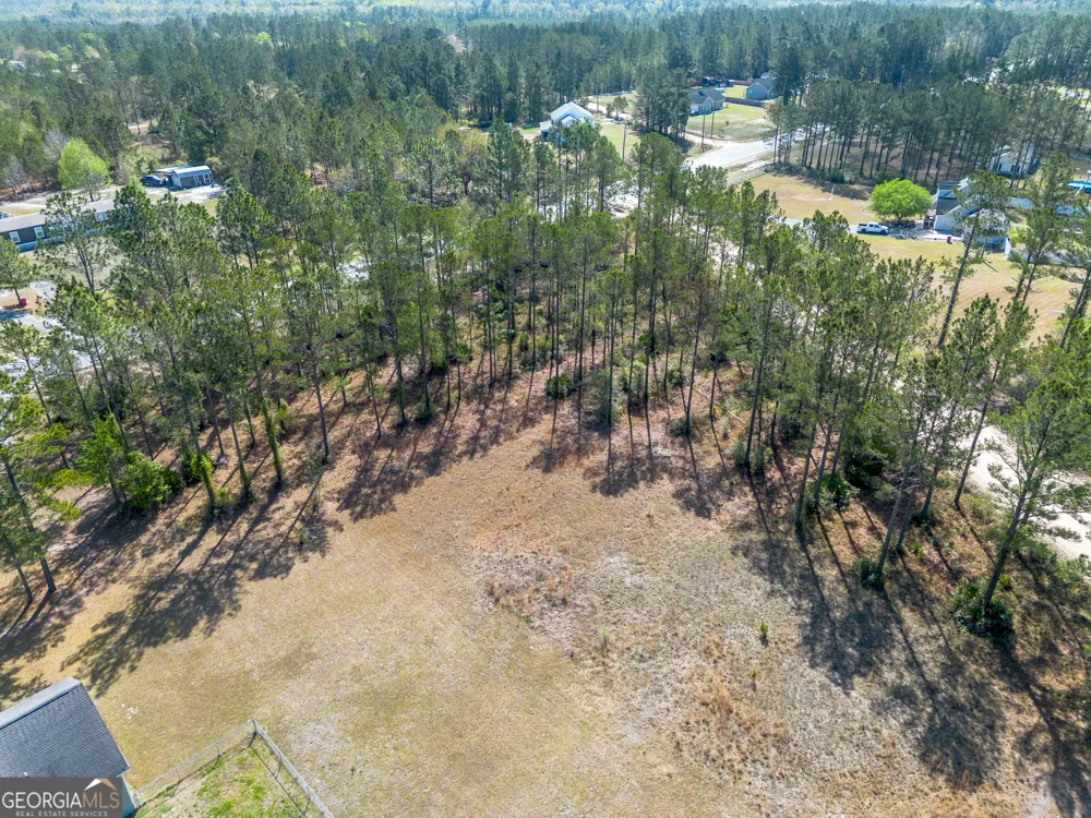 0 Highway 110 (2.02 acres) W Hortense, GA 31543