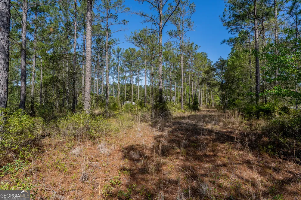 0 Highway 110 (2.02 acres) W Hortense, GA 31543