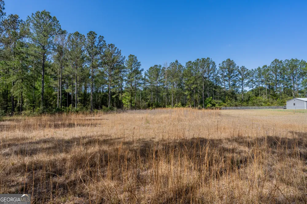 0 Highway 110 (2.02 acres) W Hortense, GA 31543