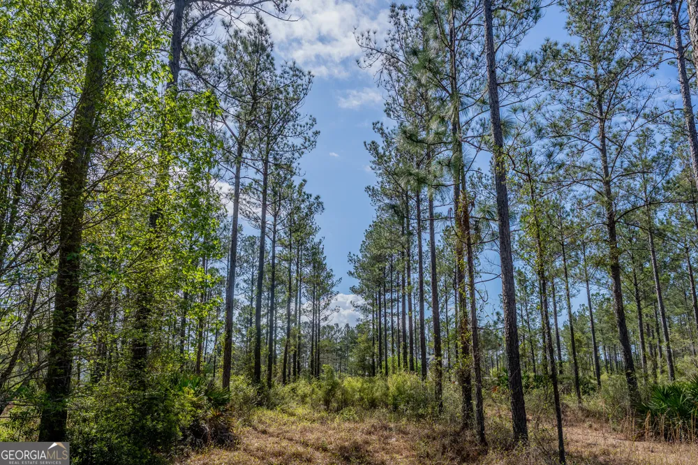 0 Highway 110 (2.02 acres) W Hortense, GA 31543