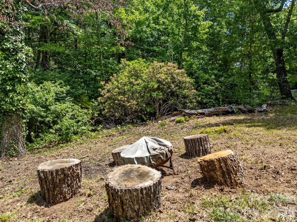707 Dogwood Trail Tryon, NC 28782