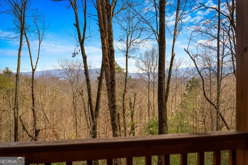 275 N Moreland DR Cherry Log, GA 30522