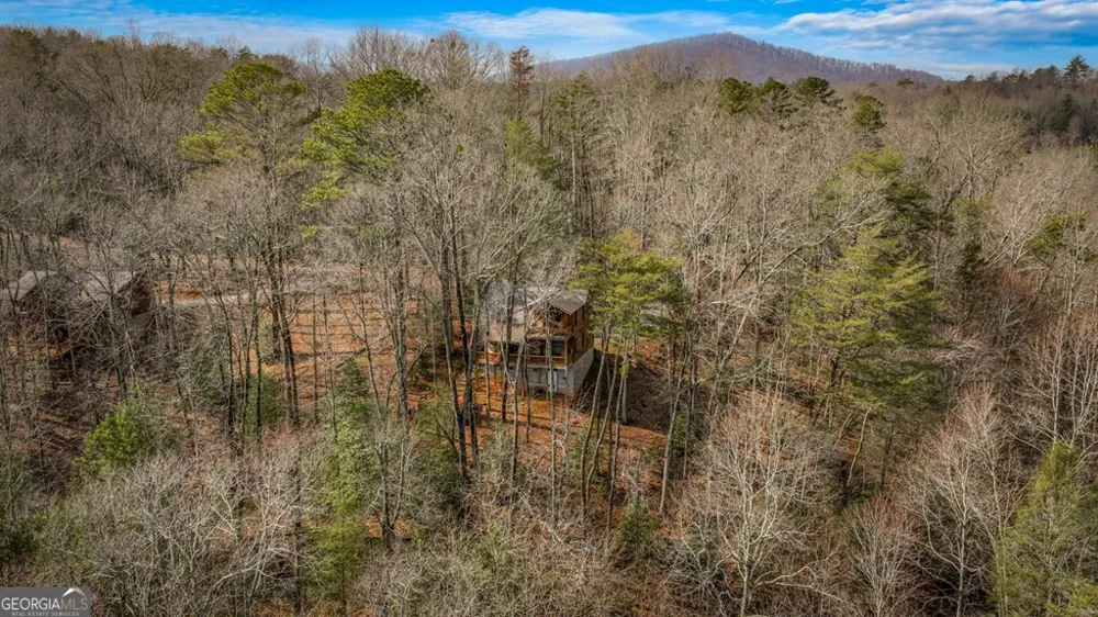 275 N Moreland DR Cherry Log, GA 30522