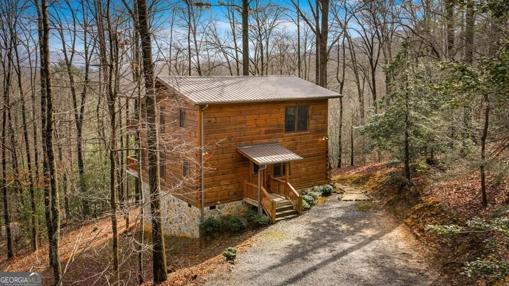 275 N Moreland DR Cherry Log, GA 30522