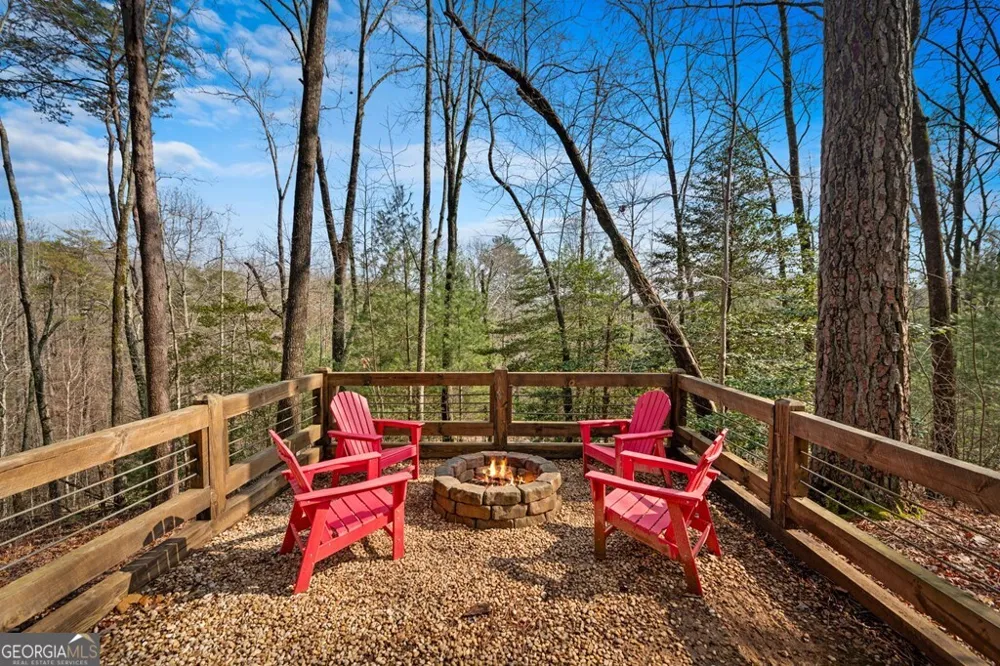 275 N Moreland DR Cherry Log, GA 30522