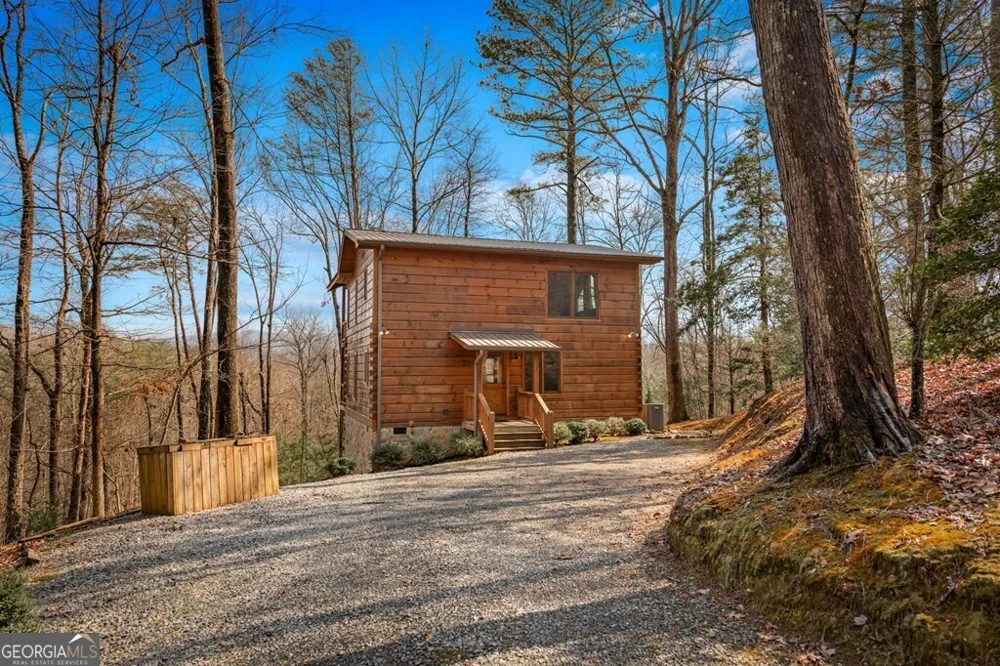 275 N Moreland DR Cherry Log, GA 30522