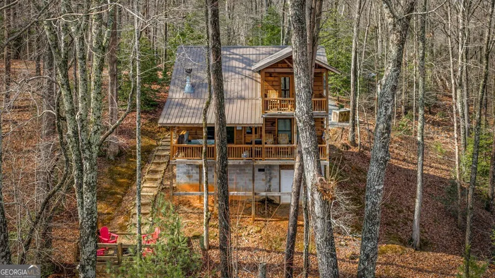 275 N Moreland DR Cherry Log, GA 30522