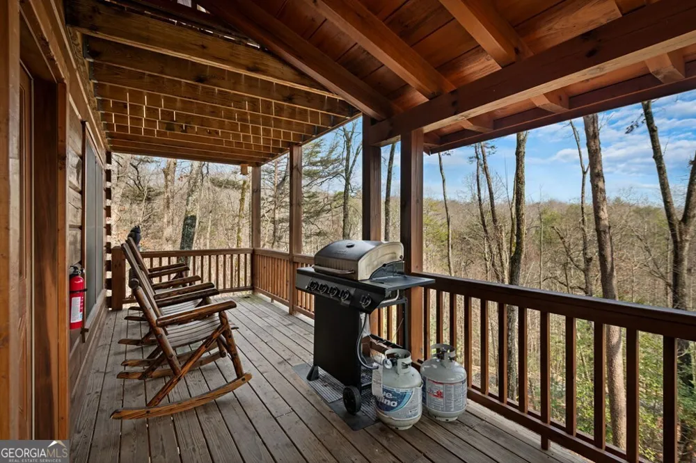 275 N Moreland DR Cherry Log, GA 30522
