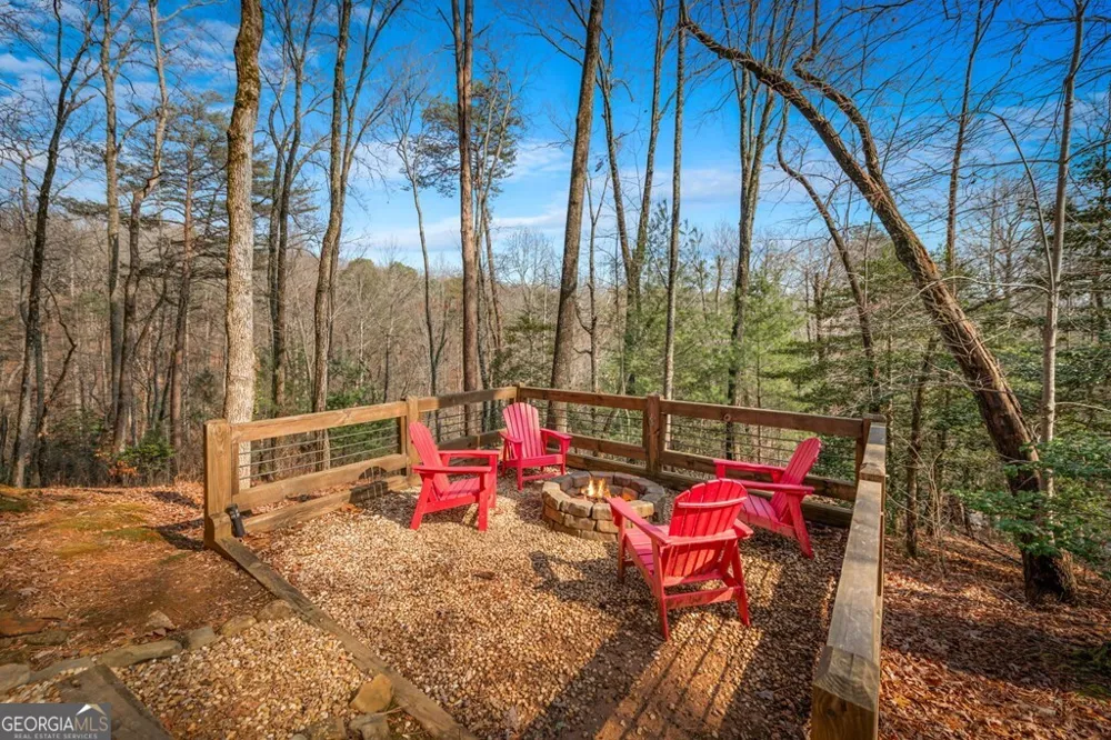 275 N Moreland DR Cherry Log, GA 30522