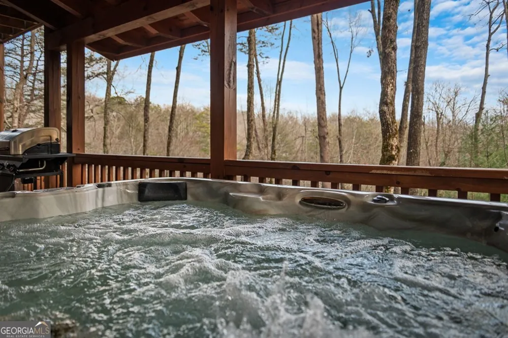 275 N Moreland DR Cherry Log, GA 30522