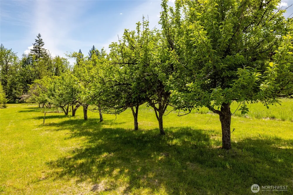 60982 Dexter Lane Marblemount, WA 98267
