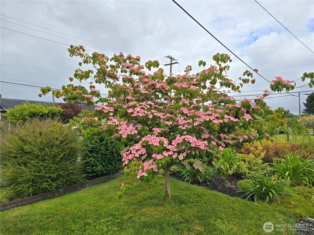 1102 W Anderson Street Elma, WA 98541