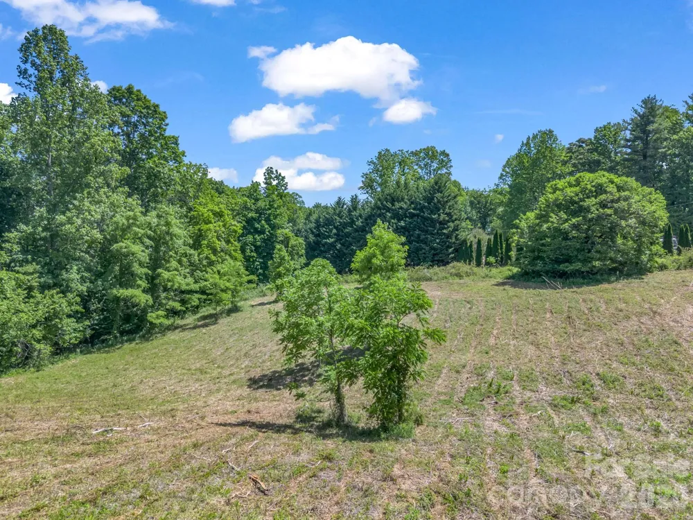255 & 257 Crescent Street Saluda, NC 28773