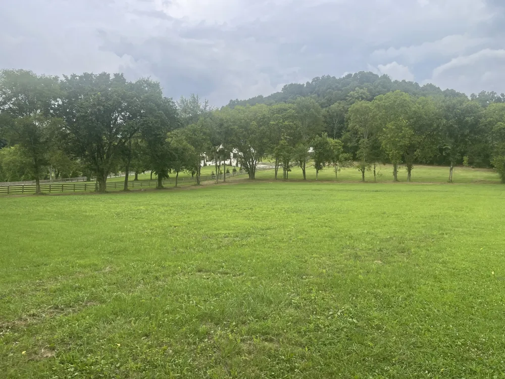 6822 Arno Allisona Rd College Grove, TN 37046