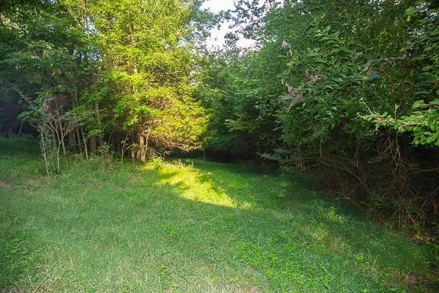 6822 Arno Allisona Rd College Grove, TN 37046