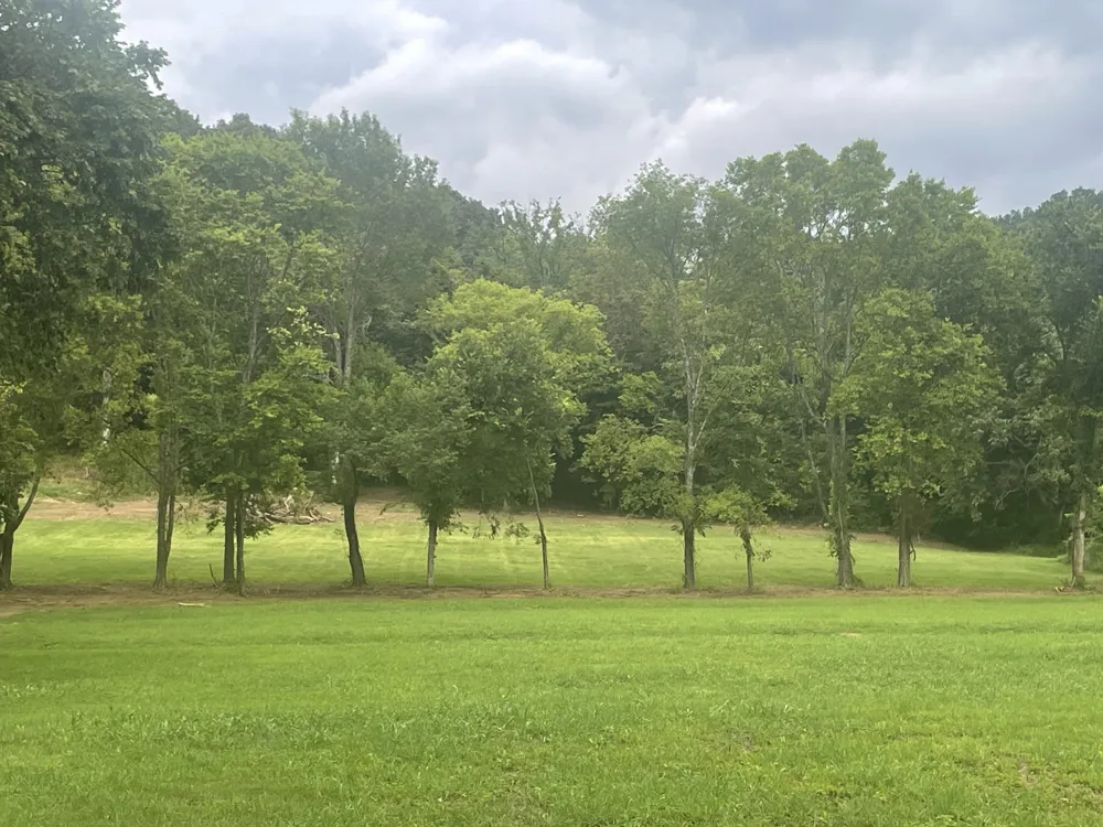 6822 Arno Allisona Rd College Grove, TN 37046