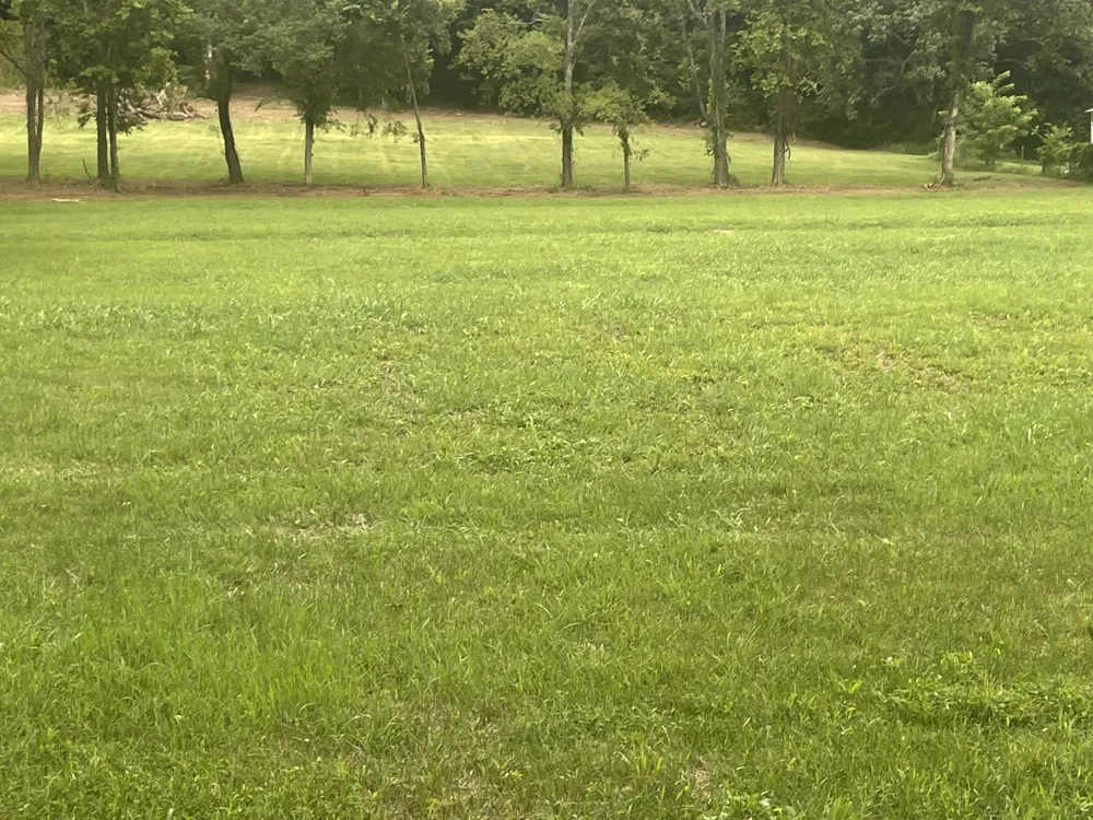 6822 Arno Allisona Rd College Grove, TN 37046