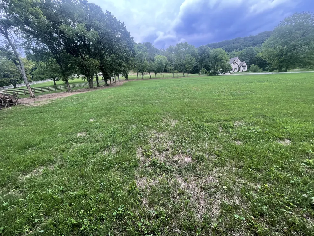 6822 Arno Allisona Rd College Grove, TN 37046