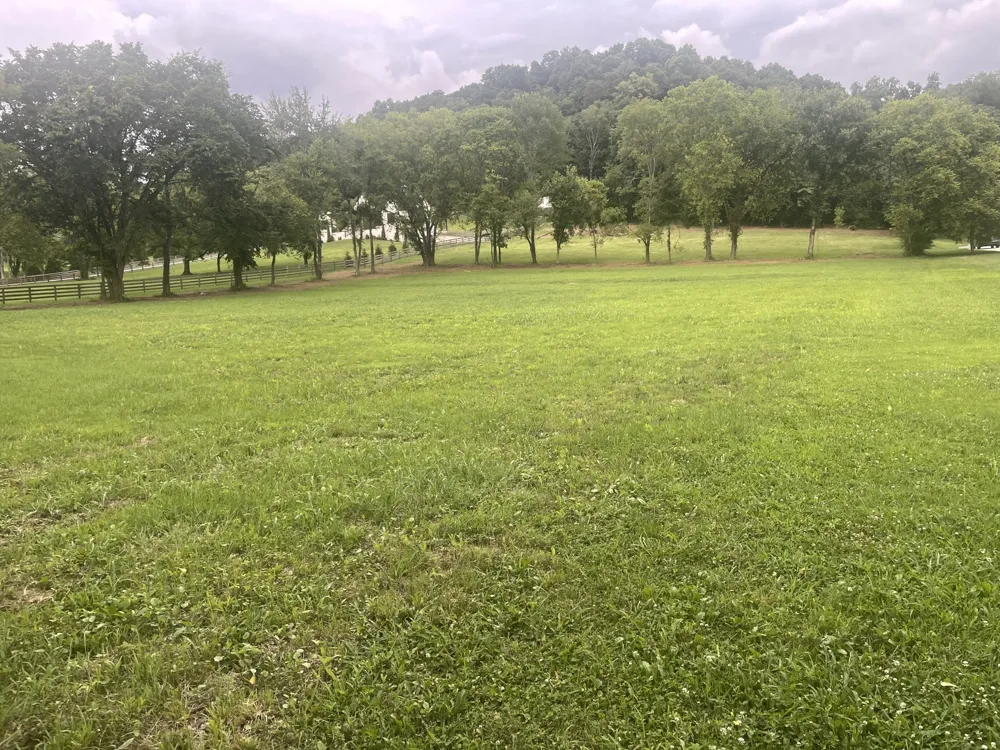 6822 Arno Allisona Rd College Grove, TN 37046