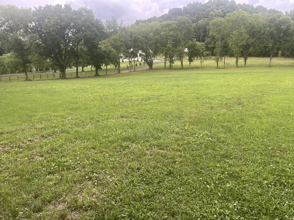 6822 Arno Allisona Rd College Grove, TN 37046