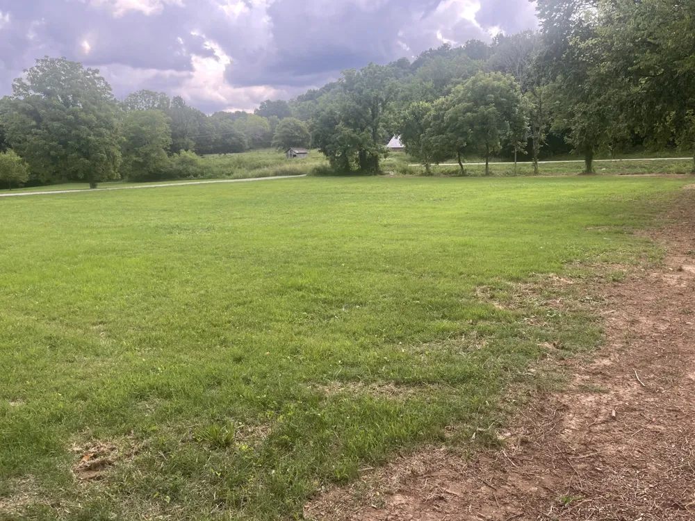 6822 Arno Allisona Rd College Grove, TN 37046