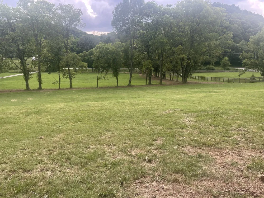 6822 Arno Allisona Rd College Grove, TN 37046