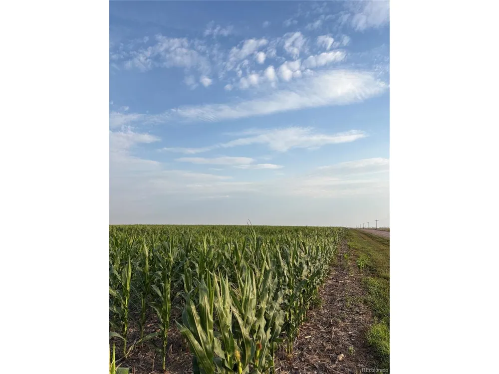 County Road 40 Holyoke, CO 80734