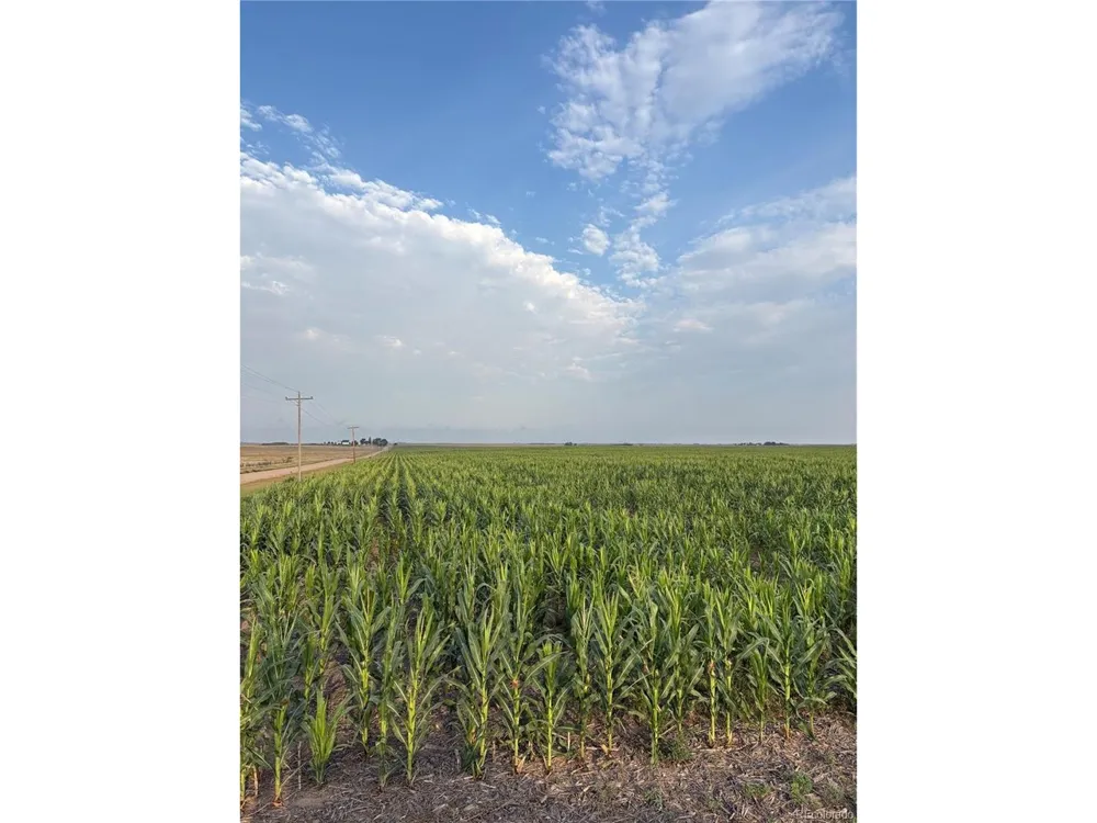 County Road 40 Holyoke, CO 80734